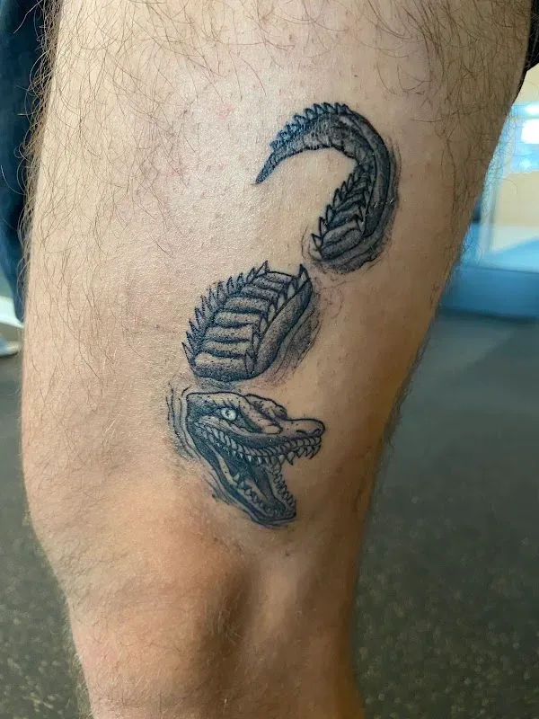 San Diego Tattoo Company — Tattoo shop in San Diego